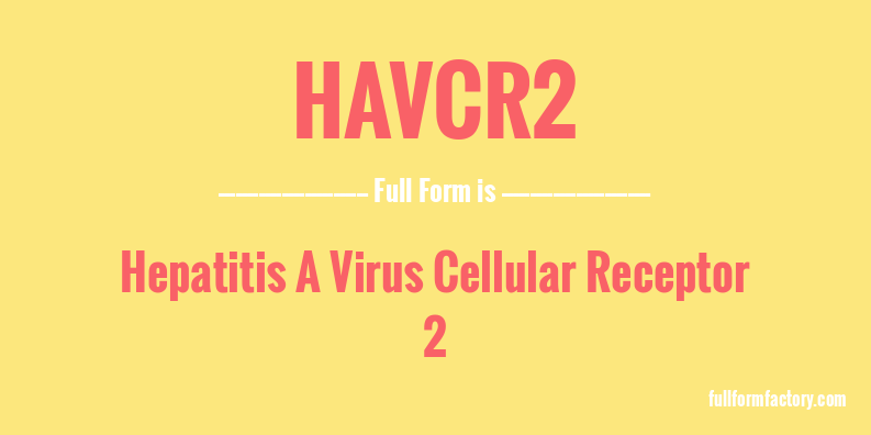 havcr2-full-form