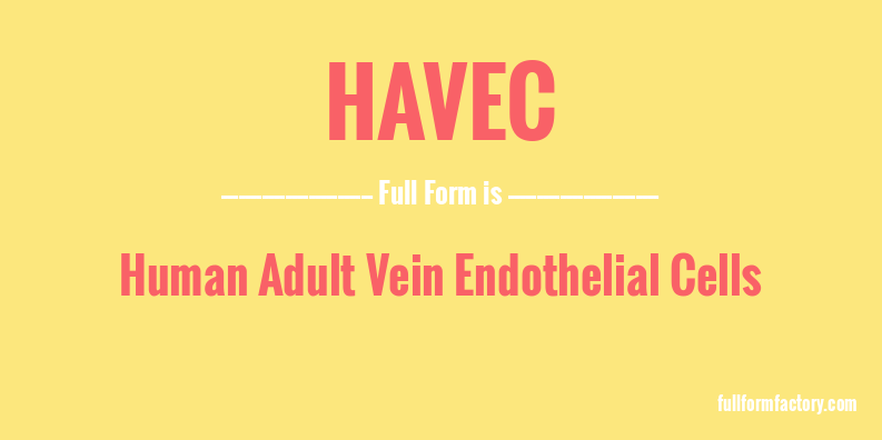 havec-full-form