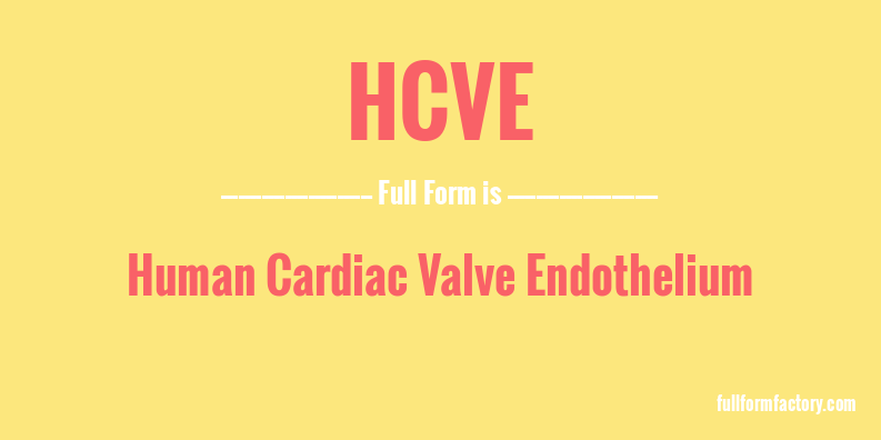 hcve-full-form