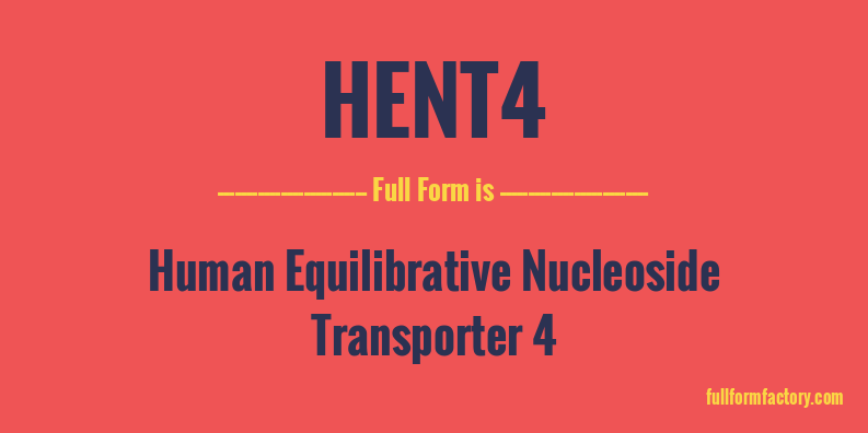 hent4-full-form
