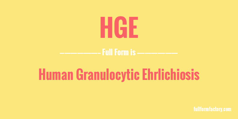 hge-full-form