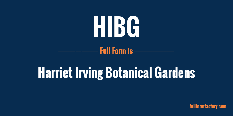 hibg-full-form