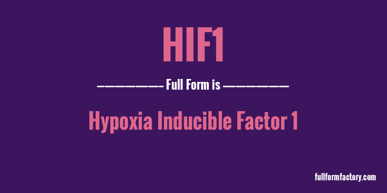 hif1-full-form