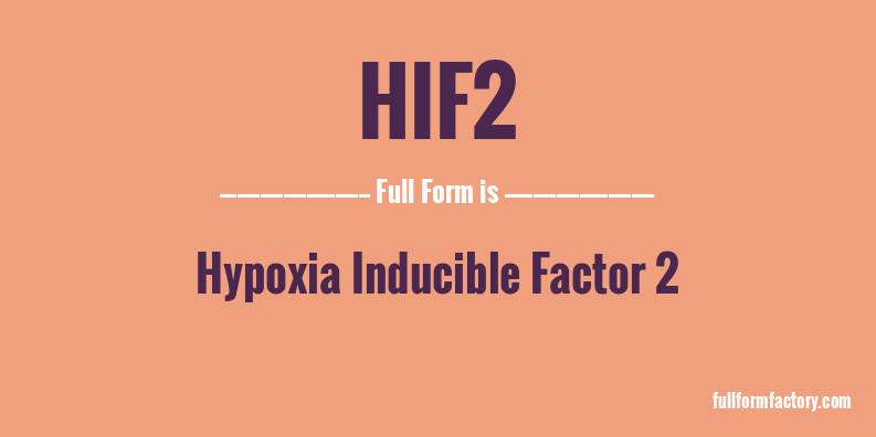 hif2-full-form