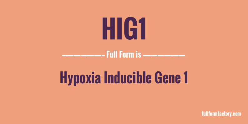 hig1-full-form