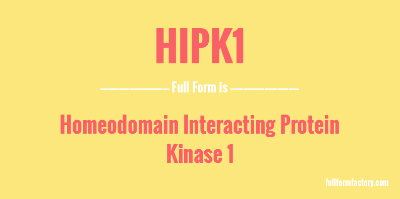 hipk1-full-form