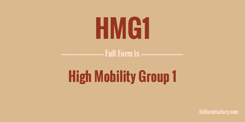 hmg1-full-form