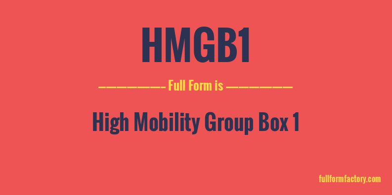 hmgb1-full-form