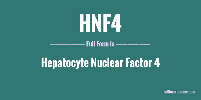 hnf4-full-form