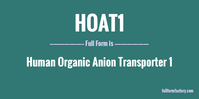 hoat1-full-form