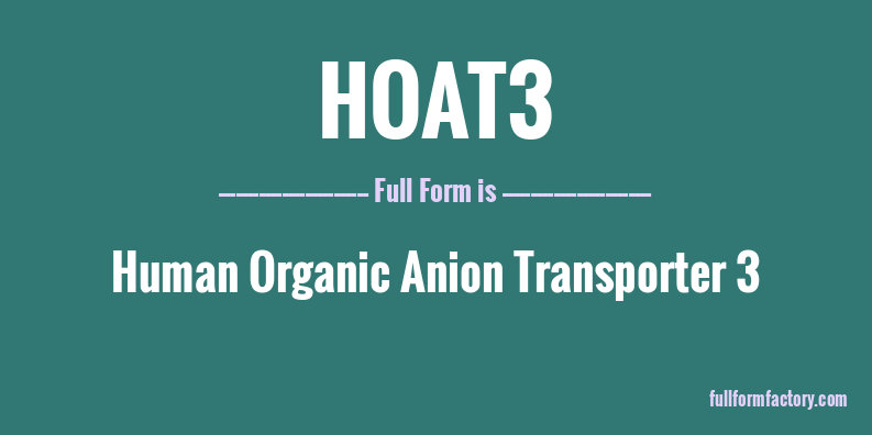 hoat3-full-form