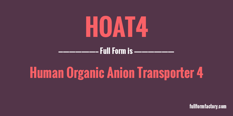 hoat4-full-form