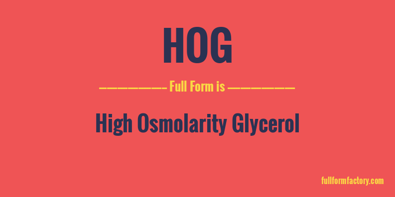 hog-full-form
