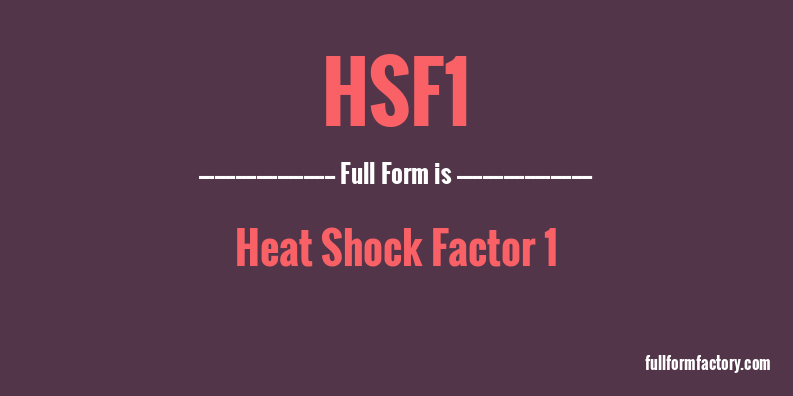 hsf1-full-form