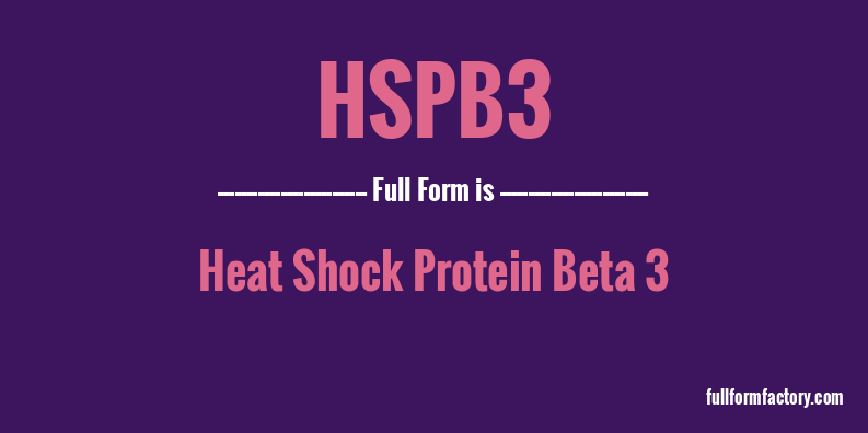 hspb3-full-form