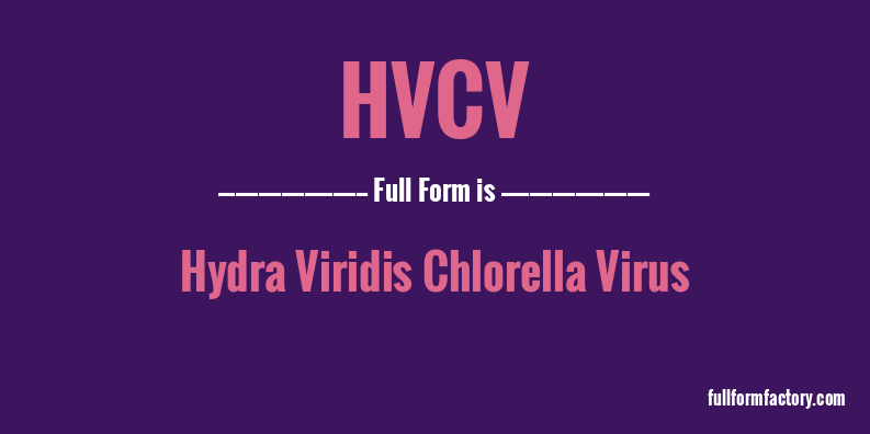 hvcv-full-form