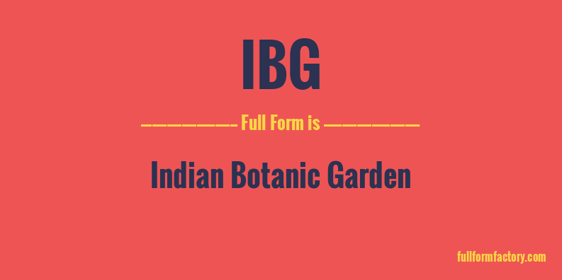 ibg-full-form