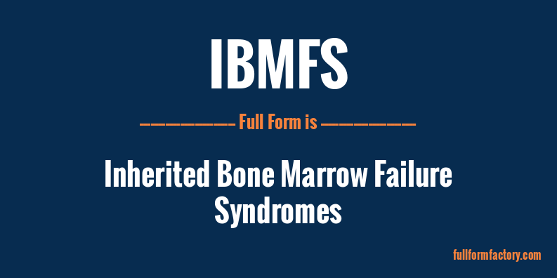 ibmfs-full-form