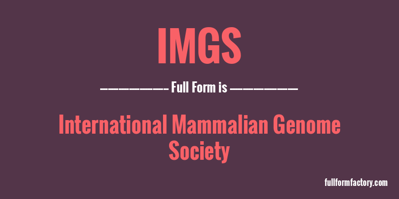 imgs-full-form