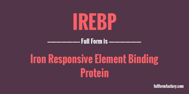 irebp-full-form