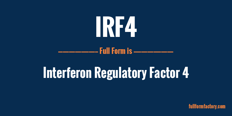 irf4-full-form