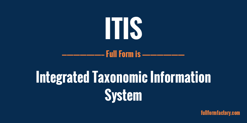 itis-full-form