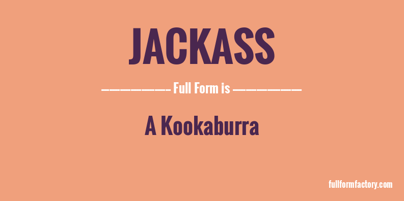 jackass-full-form