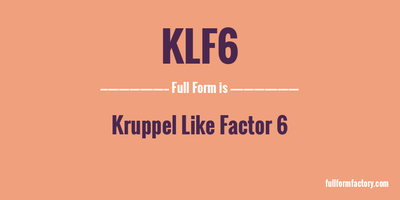 klf6-full-form