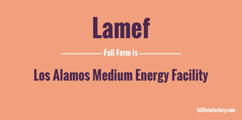 lamef-full-form