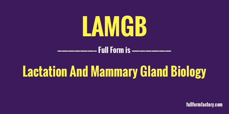 lamgb-full-form