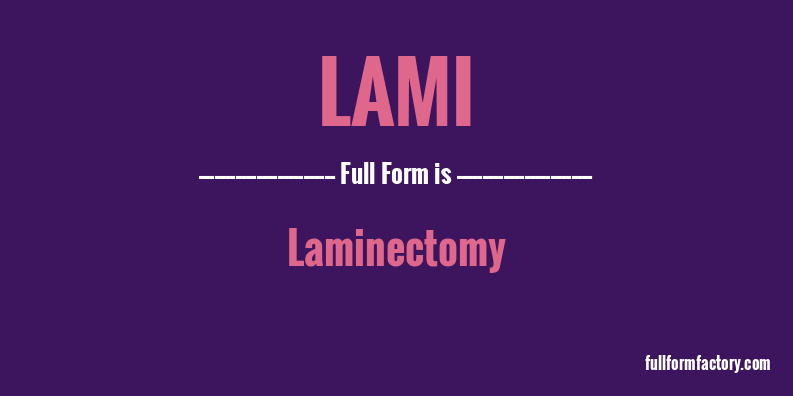 lami-full-form