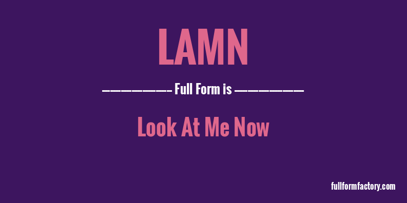 lamn-full-form