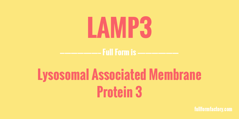lamp3-full-form