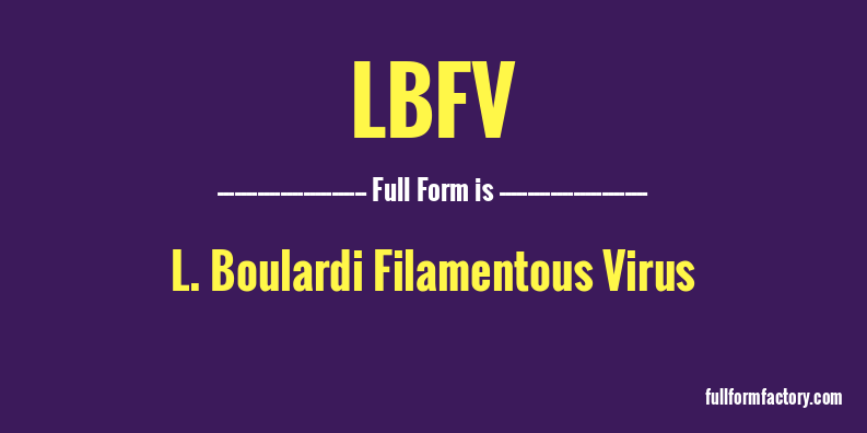 lbfv-full-form