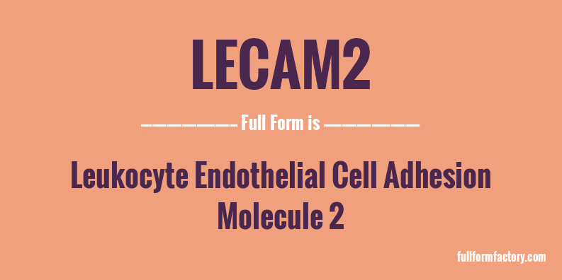 lecam2-full-form