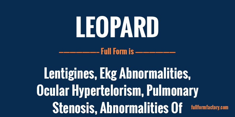 leopard-full-form