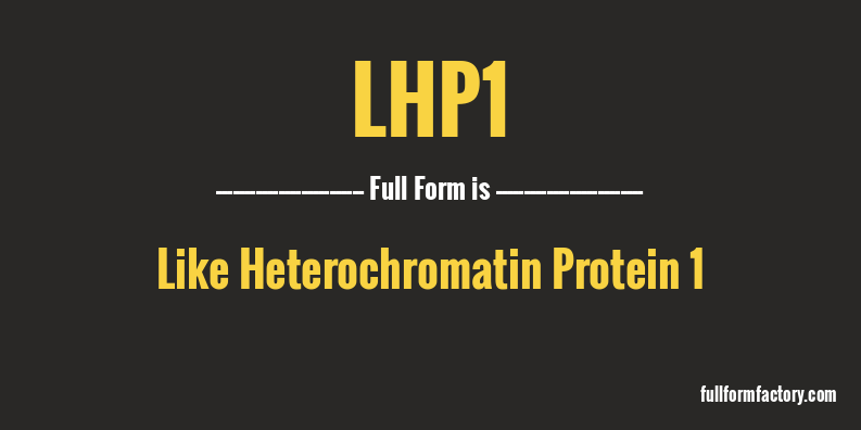lhp1-full-form