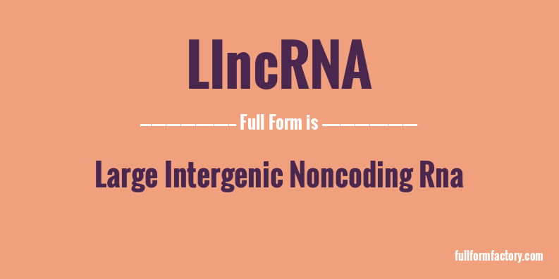 lincrna-full-form