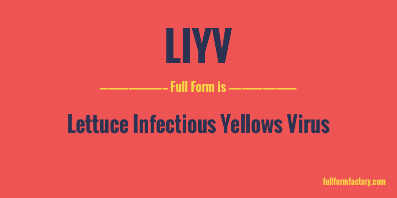 liyv-full-form