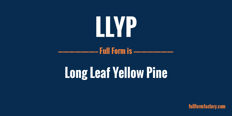 llyp-full-form