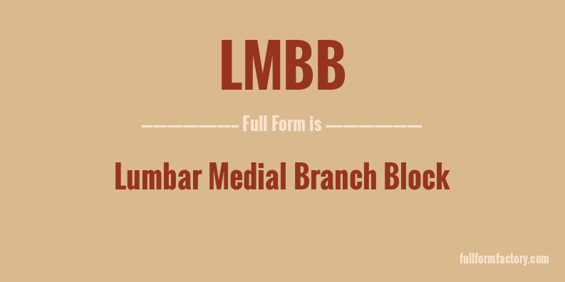 lmbb-full-form