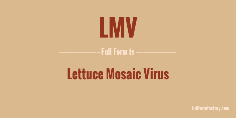 lmv-full-form