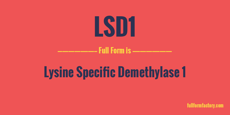 lsd1-full-form