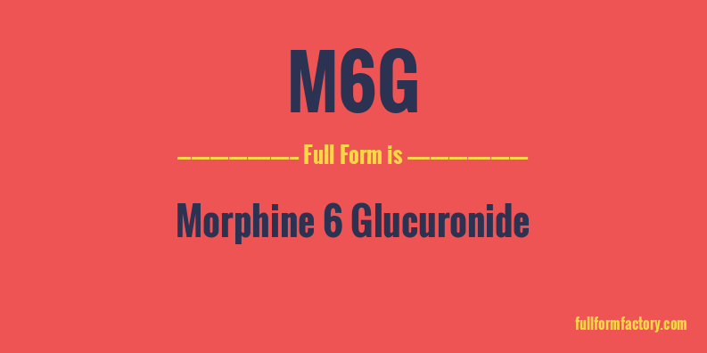 m6g-full-form