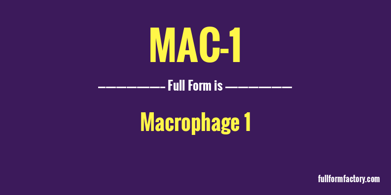 mac-1-full-form