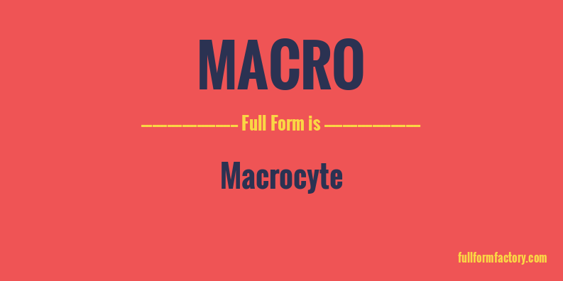 macro-full-form