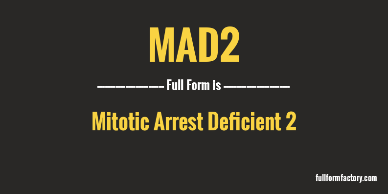 mad2-full-form