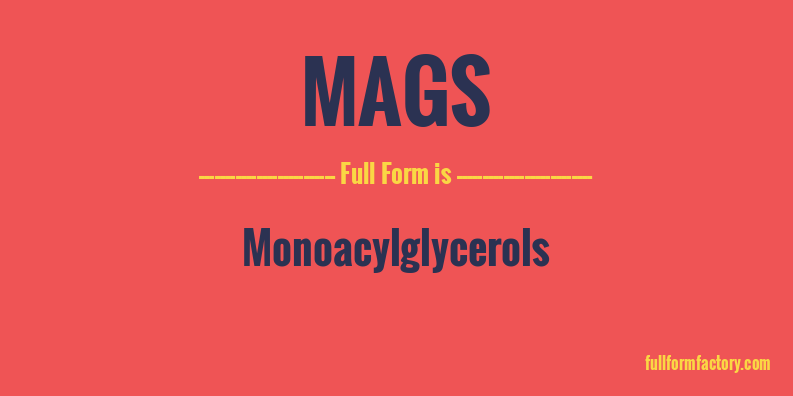 mags-full-form