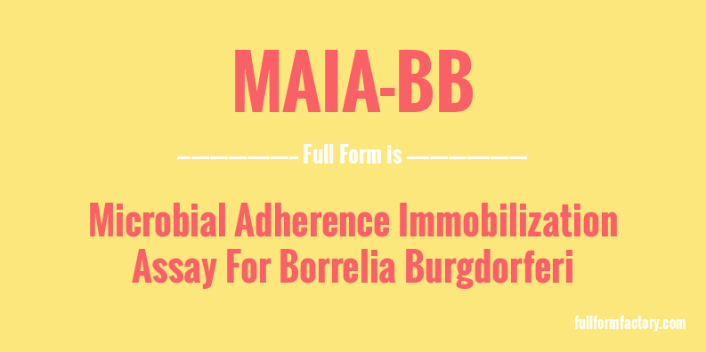 maia-bb-full-form