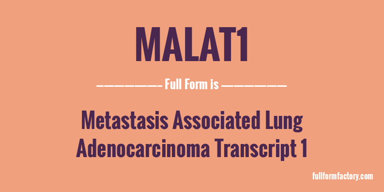 malat1-full-form